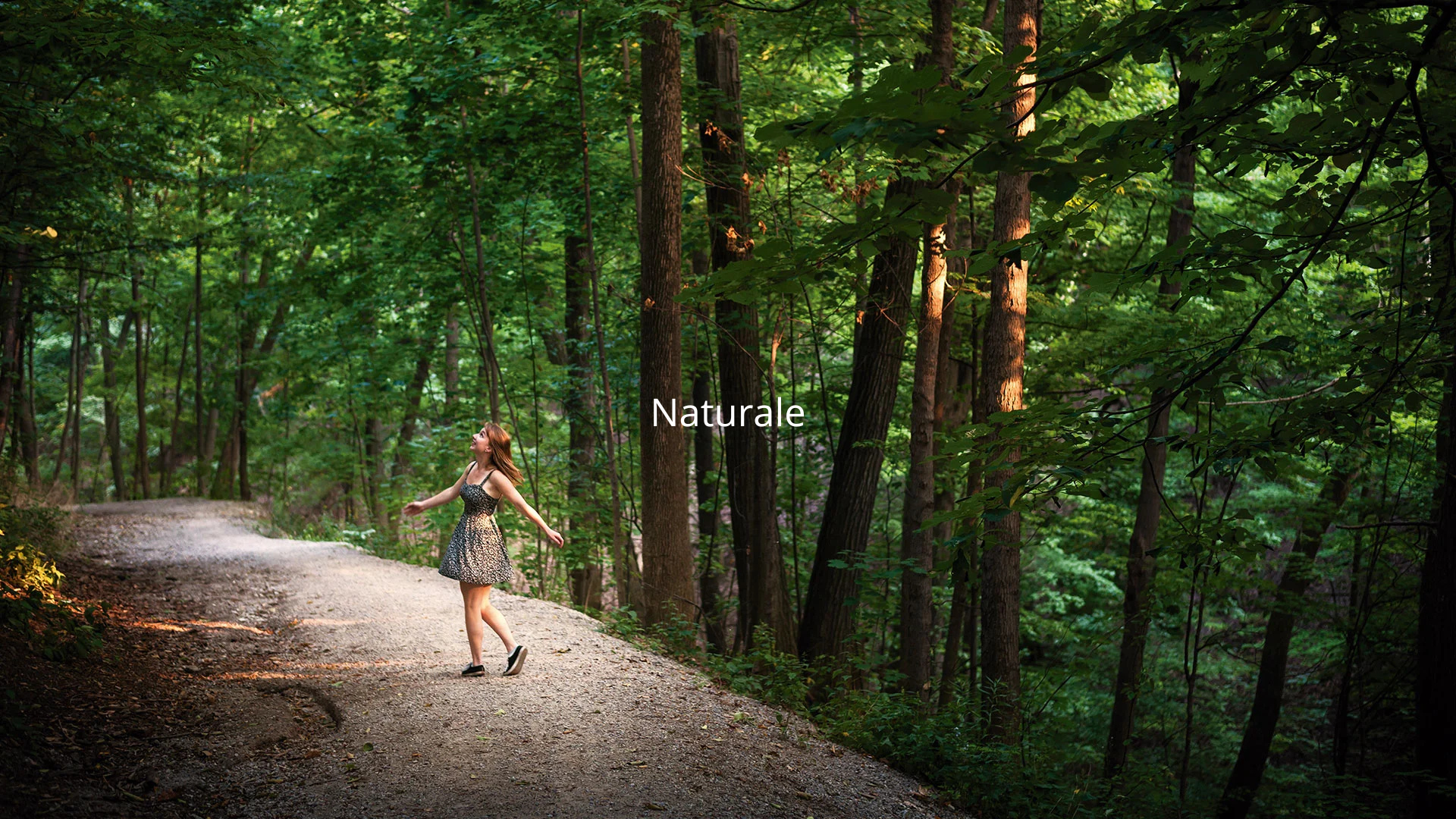 Texto do seu parágrafo (5)